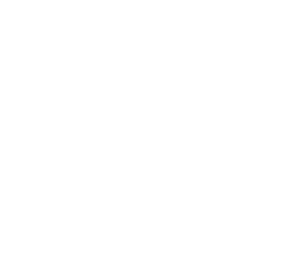 camisana_logo_bianco